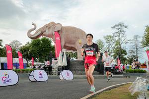 BIB: 
                            <button type="button" onclick="openModal(26528449)" class="btn btn-primary btn-sm float-right btn-popup" data-toggle="modal" data-target=".modal-high-quality">
                        <i class="fas fa-shopping-cart"></i> Add to Cart
                    </button>
                                            <button type="button" onclick="isThisMe(26528449, true)" class="btn btn-success btn-sm float-right btn-popup btn-isme hidden" data-toggle="tooltip" data-placement="bottom" title="นี่คือรูปของคุณใช่ไหม คลิกที่นี่เพื่อเอาเข้าอัลบั้ม">
                        <i class="fas fa-plus"></i> Add to album
                    </button>
                    <button type="button" onclick="isThisMe(26528449, false)" class="btn btn-warning btn-sm float-right btn-popup btn-isnotme hidden">
                        <i class="fas fa-ban"></i> Remove from album
                    </button>